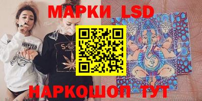 spice Кингисепп