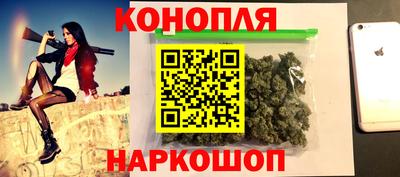 spice Кингисепп
