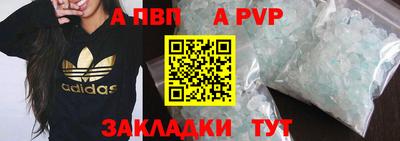 spice Кингисепп