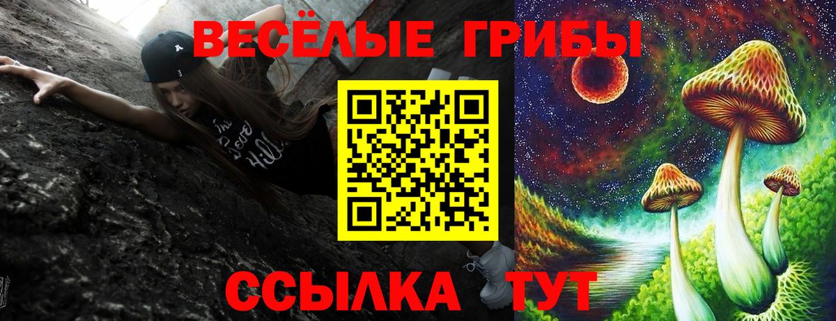 Бирск  закладки  Вход с VPN  Псилоцибиновые грибы мухоморы 